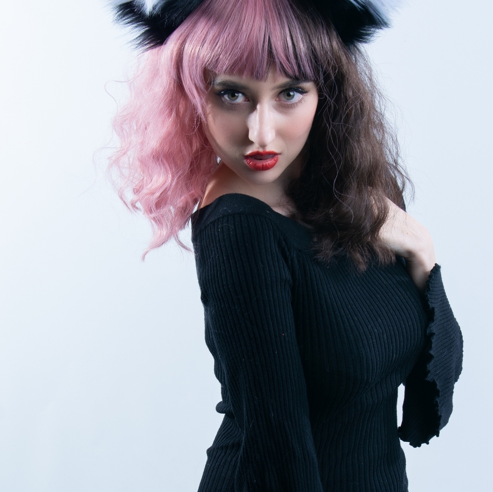 Penny Wigs New Brown/Pink Two Tone Full Wig